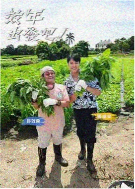 编辑推荐 小黄人短片 配图